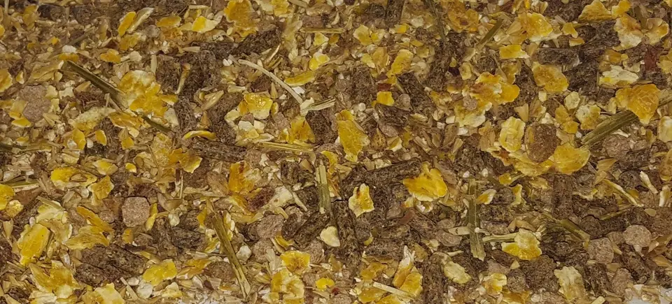 HQF Pferde-Müsli in Nahaufnahme